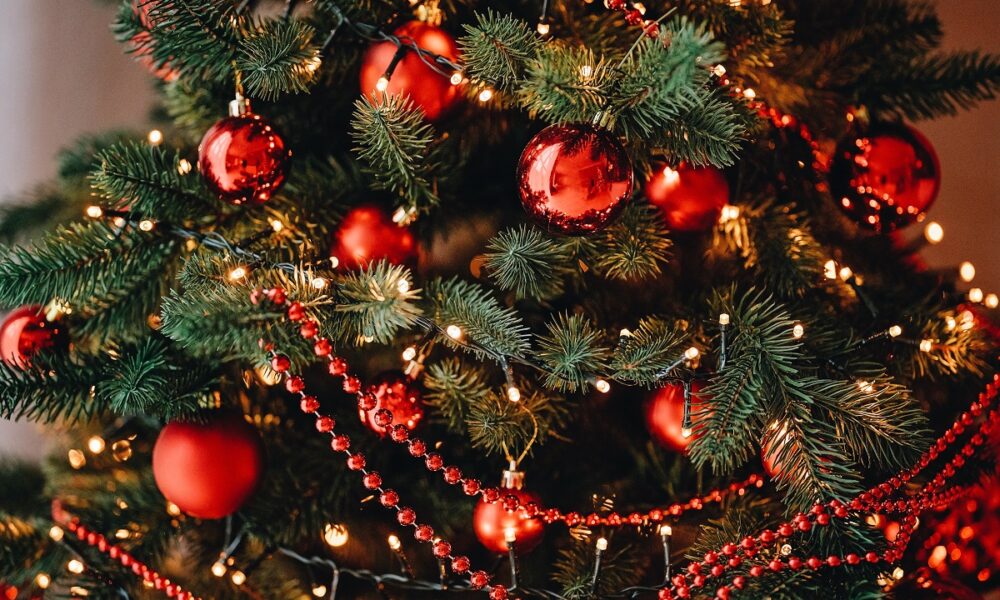 processed-with-vsco-with-a6-preset