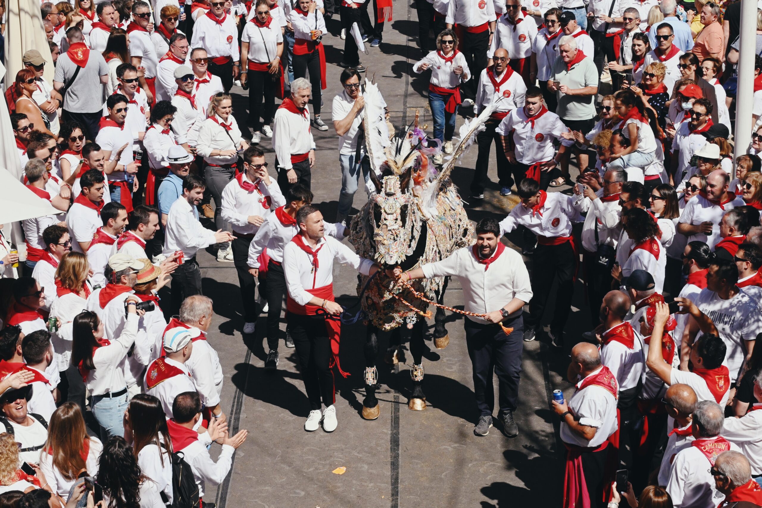 20230502-caballosvino1