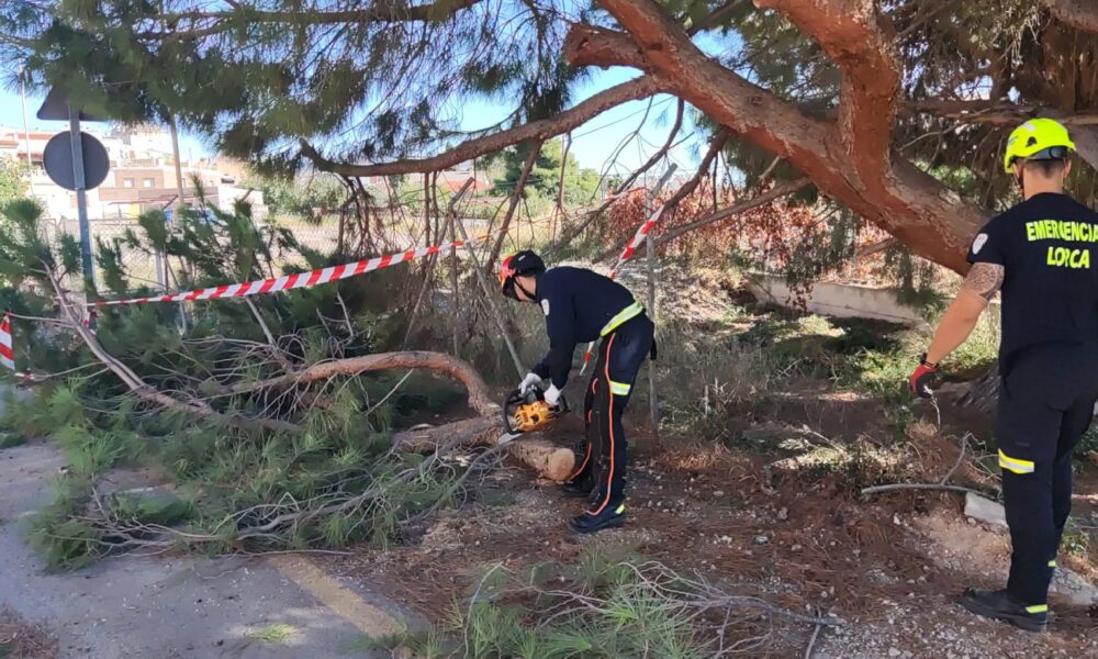 14323820102023511512