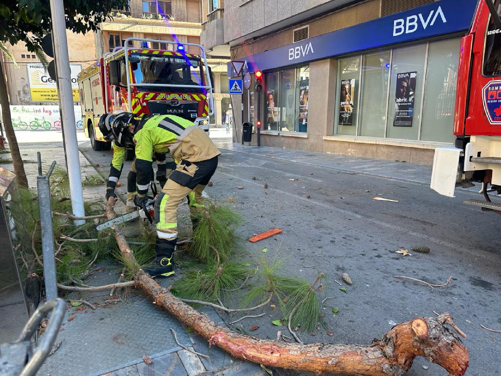 19585117012024286324