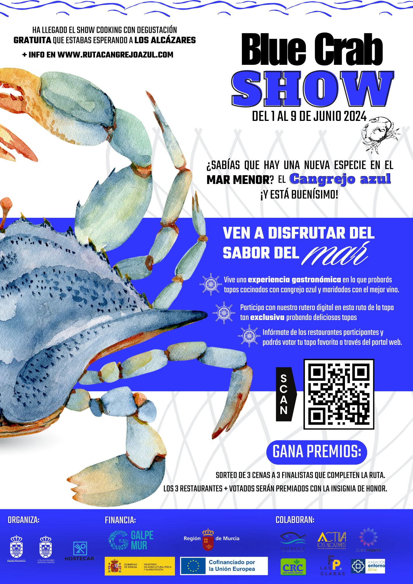 cangrejo-azul-del-mar-menor